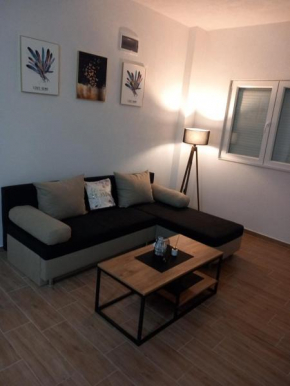 DM Apartment